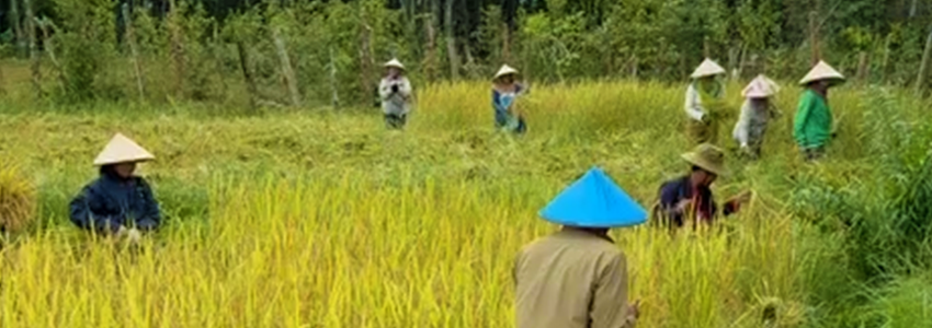 Warum Laos