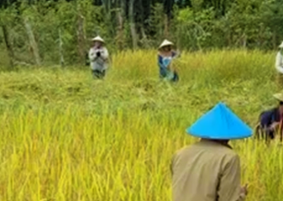 Warum Laos