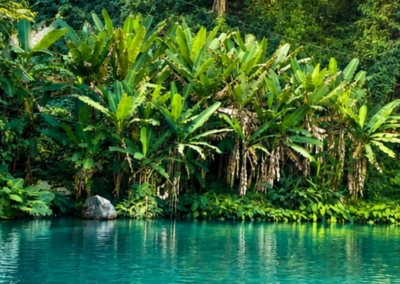 THE GENTLE NORTH - Teaser Banner - Eine Reise mit Enduro-Maschiene durch Laos